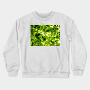 Nature Fibers photoshoot Crewneck Sweatshirt